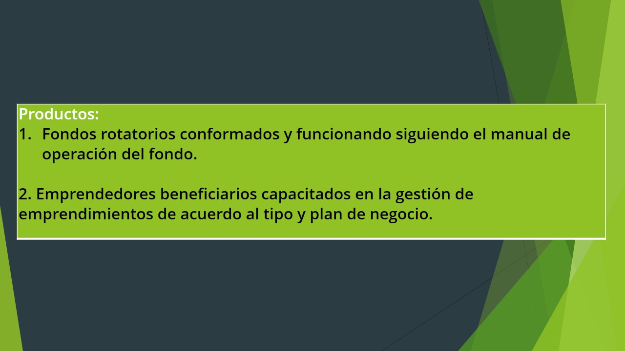 Diapositiva6
